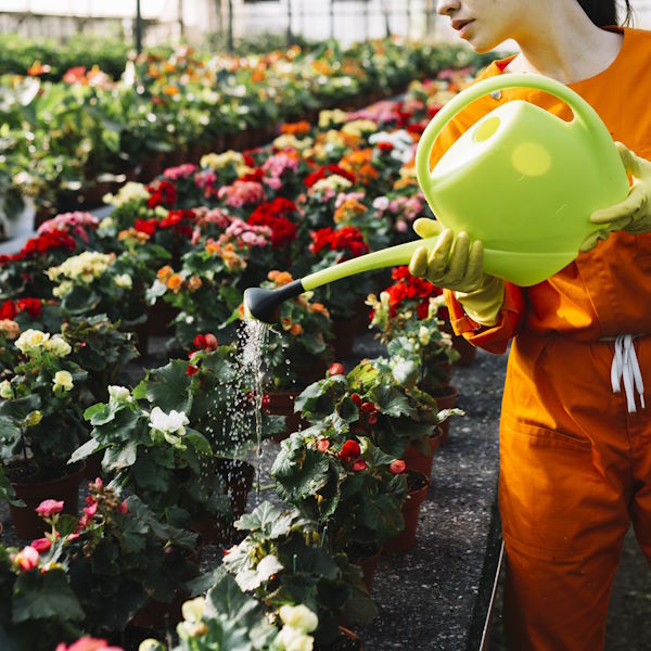 Irrigation Methodes-01