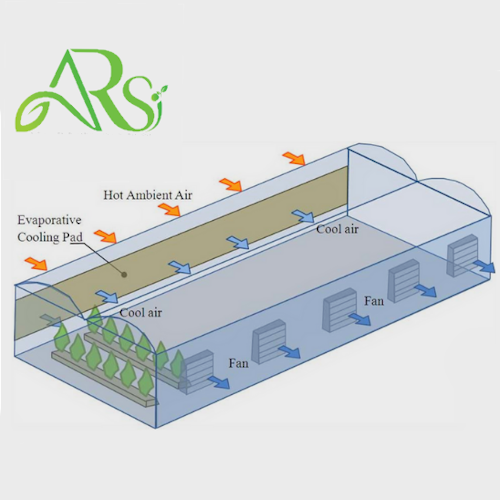 pad and fan -greenhouse